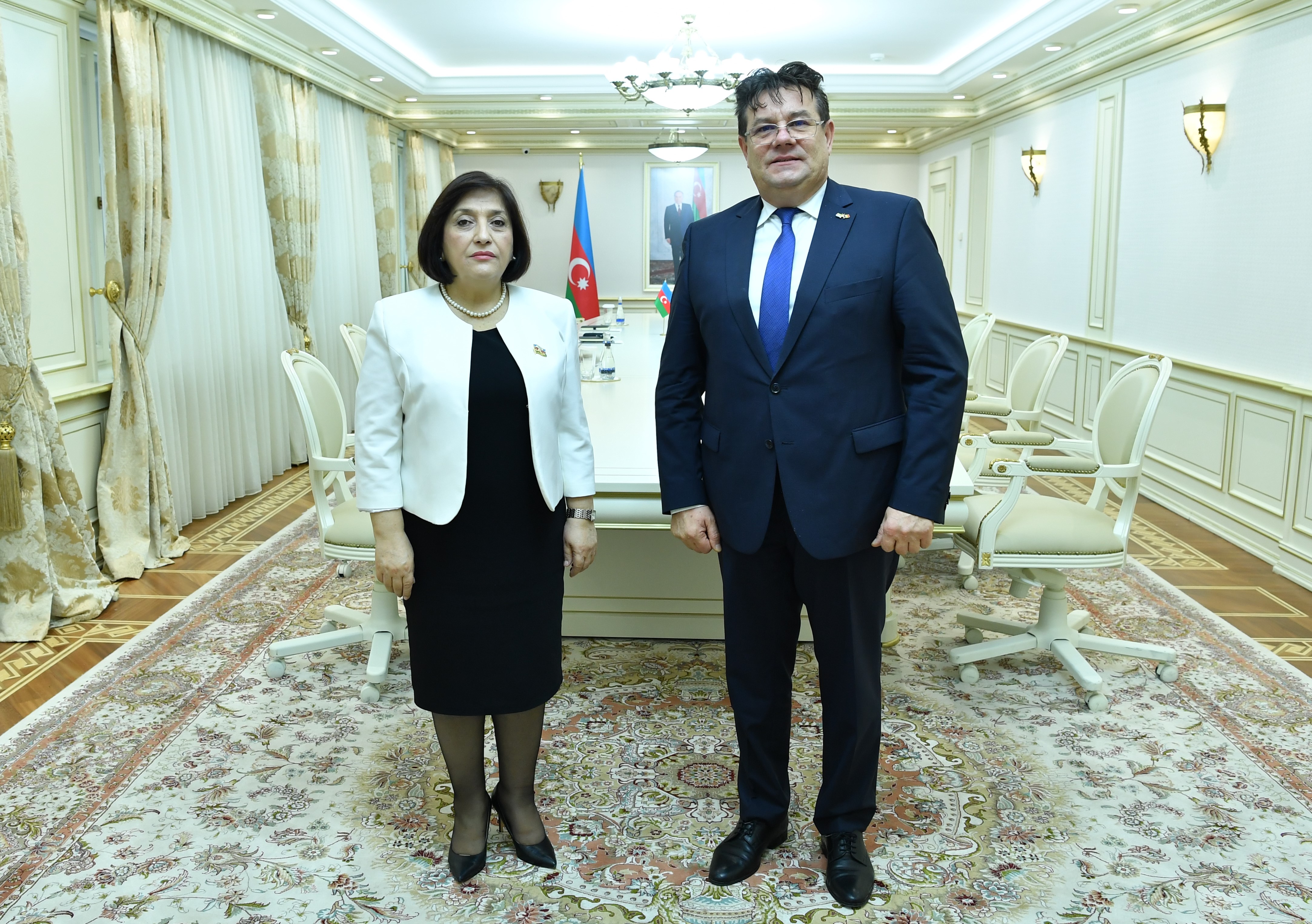 Chair of Milli Majlis Sahiba Gafarova Meets Romanian Ambassador to Azerbaijan