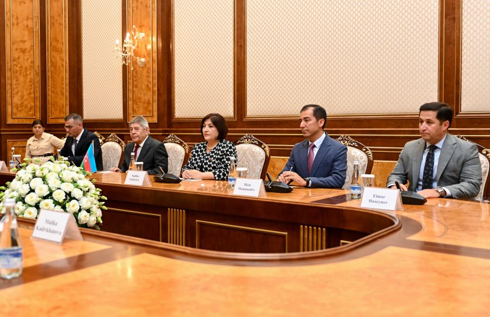 Председатель Милли Меджлиса Сагиба Гафарова встретилась с министром семьи и социальных служб Турции